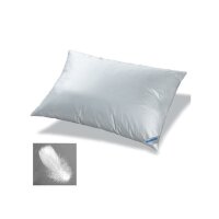 Pillow Down-Feather 60/80 water blue 85/15 feather &...