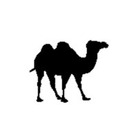 100% natural camel wool fibre